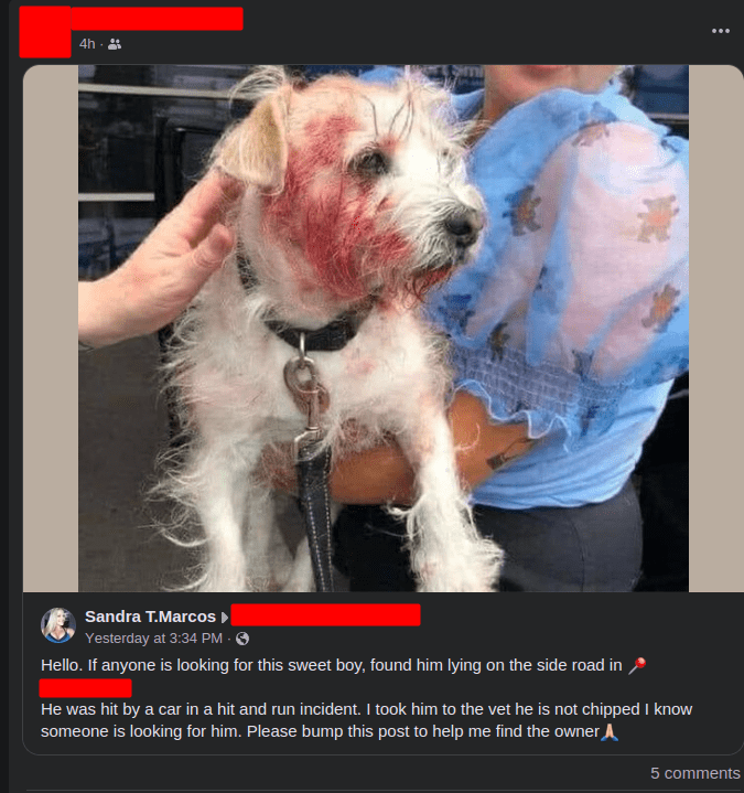 Facebook post what what appears to be a hurt dog that is part of a scam targeting animal lovers